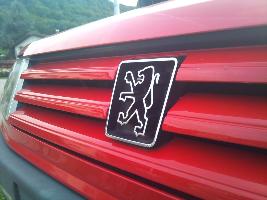 309 Graffic Bild des Monats.jpg