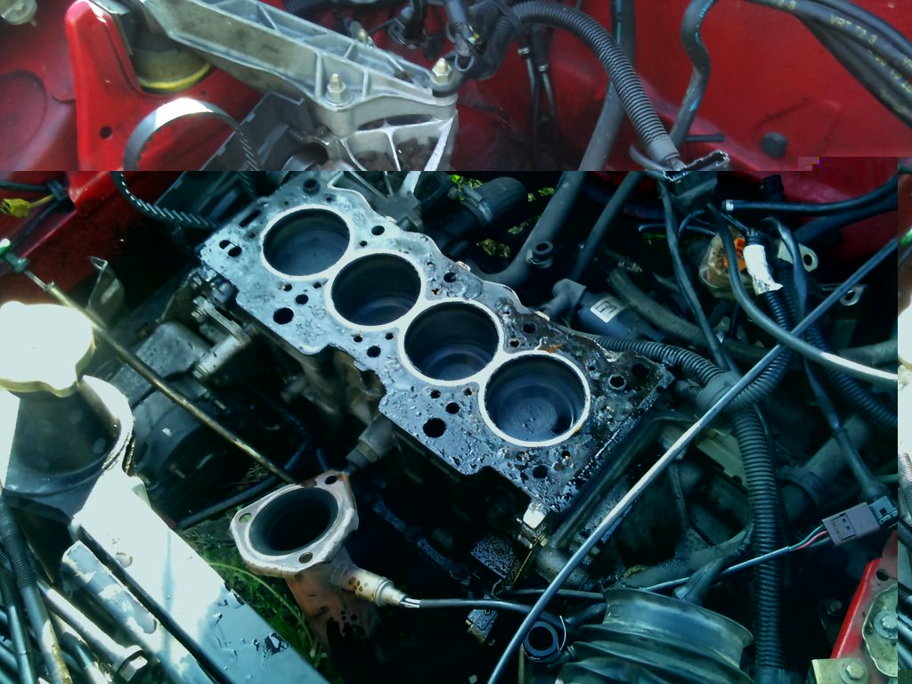 und schliesslich das Herz!!!