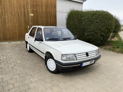 Peugeot_1_bearbeitet.jpg