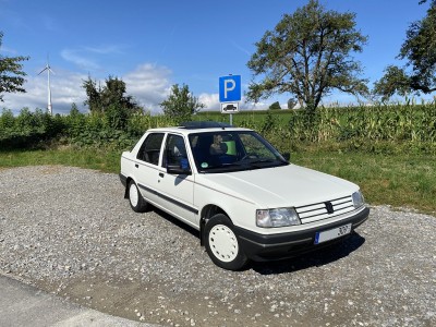 Peugeot_Beifahrer.jpg