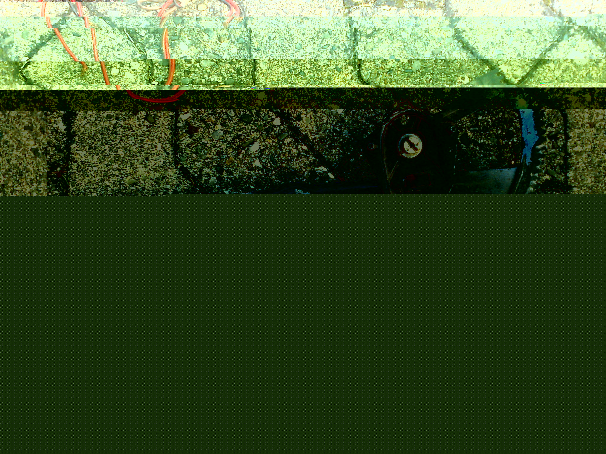 Fensterheber 309.jpg